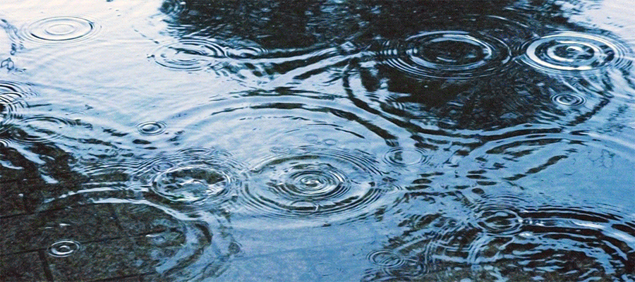 梅雨にも負けず癒やしをお届け致します。
